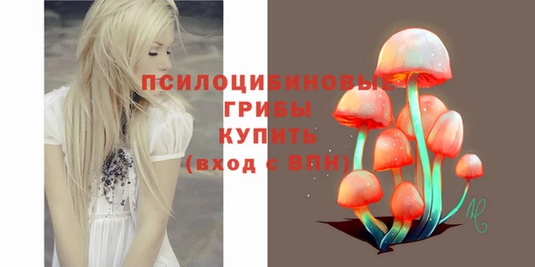 амф Богородицк