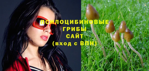 мескалин Богданович