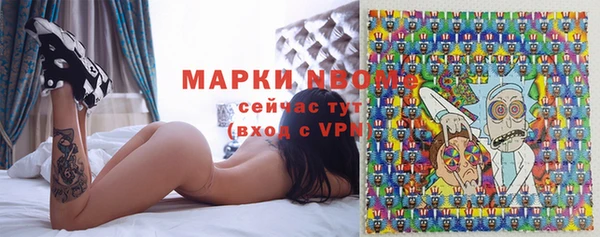 амф Богородицк
