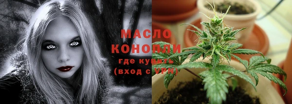 амф Богородицк