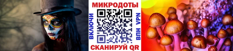 Галлюциногенные грибы мухоморы  Дно 