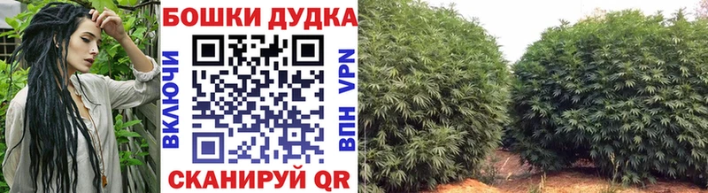 Конопля индика что такое Дно